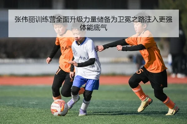 张伟丽训练营全面升级力量储备为卫冕之路注入更强体能底气